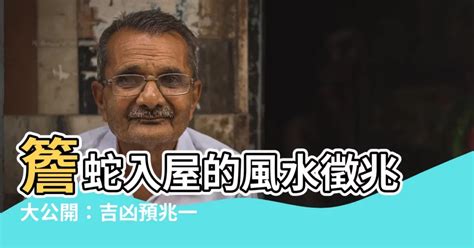 簷蛇入屋風水